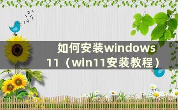 如何安装windows 11（win11安装教程）